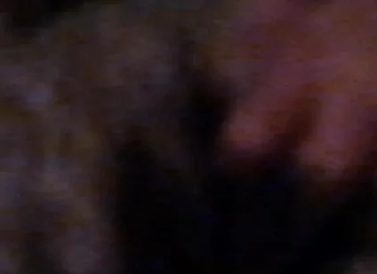 Teen Cums