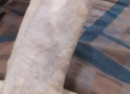 Handsome Boy Masturbation