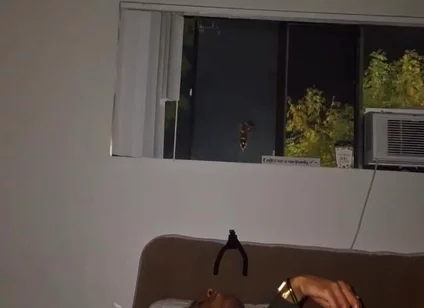 Late Night Dildo & Wank Sesh