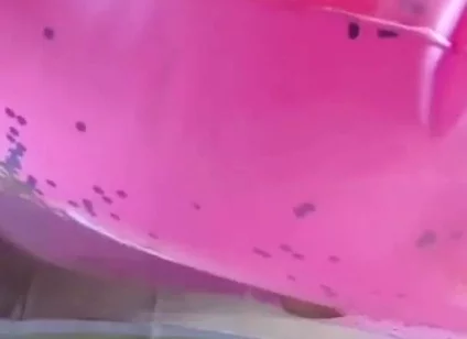Beautiful inflatable swimrings in my bed
