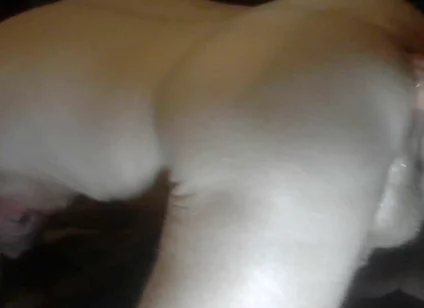Big Dildo Thrusting in My Ass