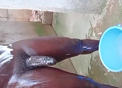 Wow Big Dick Workouts Experience