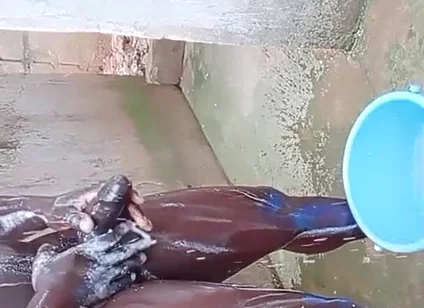 BBC Massage Orgys in Africa