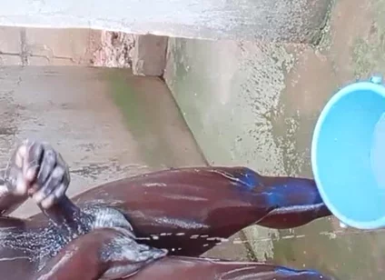 BBC Massage Orgys in Africa