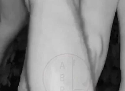 In a Park, at Night, Jules Is Desperate to Pee and Tries to Hide From His Friend but Is Caught on Night Vision Cam