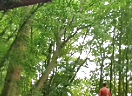 Compilation Outdoor Nudity, Masturbation, Pee & Ass Images