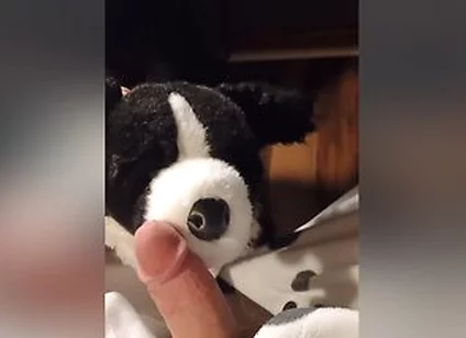 Border Collie Plushie Licks And Makes Onesie Pubby Cum!