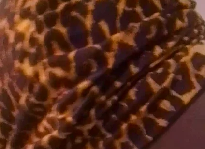 Twerk and Seduce Him Before Fucking