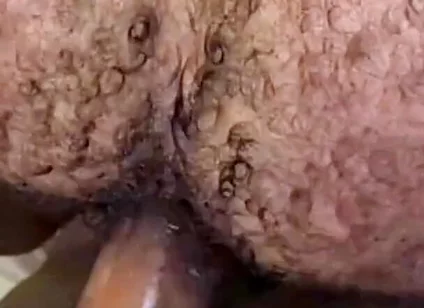 Que Rico Este Culo Peludo Y Tragón