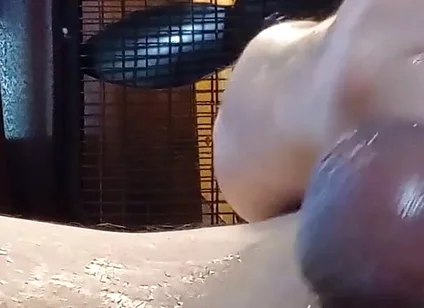 Cum Clean My Cock