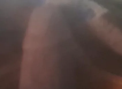 Dick Lovers