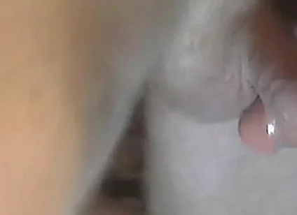 Cock Fight Against 10 Inches