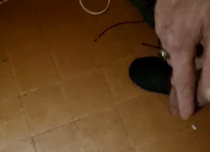 My Dick an My Dancing Balls