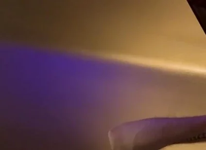 Raw Otter Dildo Fuck & Cum