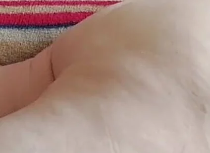 Come and Fuck My Beautiful Ass