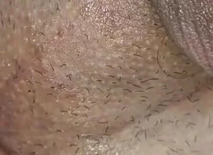 Screaming and Moaning as a Big Cock Shoots Cum Into My Hole