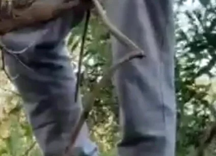 Hot Amateur Boy Sucks and Rims in the Woods