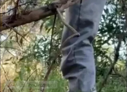 Hot Amateur Boy Sucks and Rims in the Woods