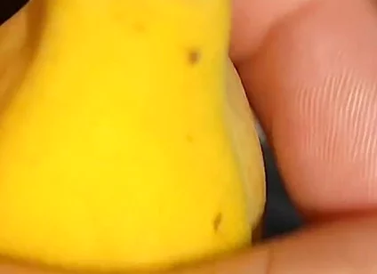 Impressive Surprise When It Is Peeled.