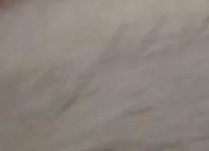 New Cum Video with Vibrating Dildo in My Ass