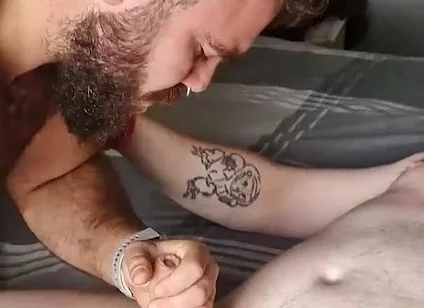 Sucking Bear Cock