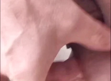 Cumshot Compilation
