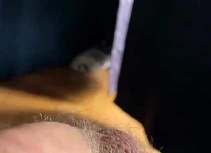 Cum with Tim Blesh