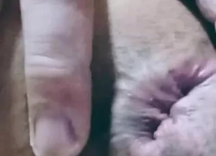 Nice Anal