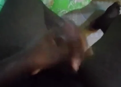 Haydenbbc Video