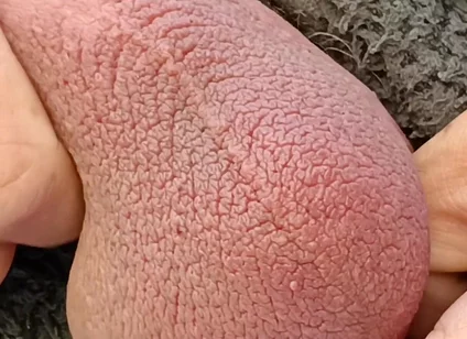 Big Uncut Cock Edging and Cumming, Outdoor Onesie Wank for the Neighbours - Rockardglans