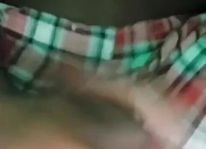 Black Cock