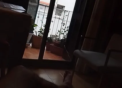 Through the Window