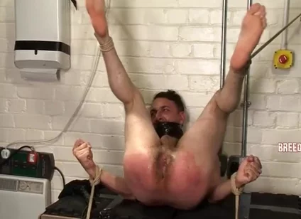 Breeder Fuckers Dale 4