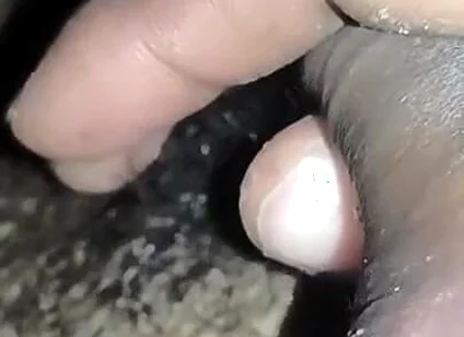 The Water of the Desi Land Comes Out Like the Water of the Desi Land.