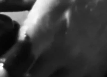 White Cock with Chocolate Syrup