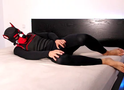 Horny Neoprene Puppy Humping and Teasing Himself