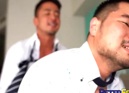 Peter Fever In Asian Suit Studs