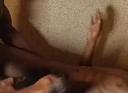 Twink Fuck Lovers Hot