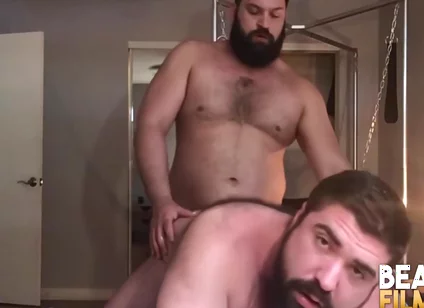 Hairy And Bearded Bears Bareback Hardcore