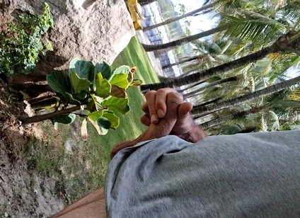 Public Beach Cock Flash