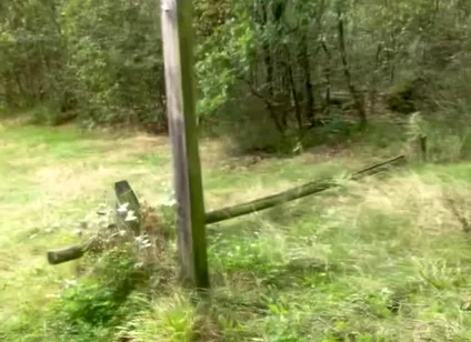 Horny on a Bench