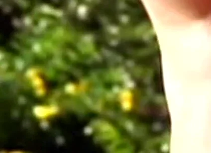 Latino Twink Fuckin Barebac with Friend