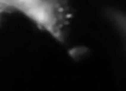 Close-up Cumming