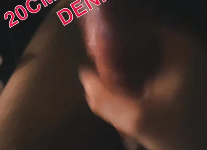 Danish Cock