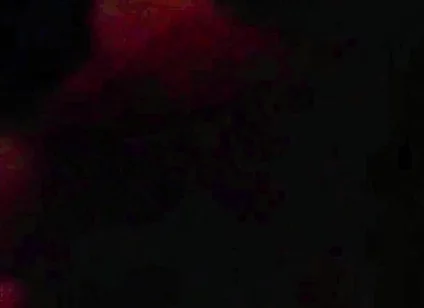 Goon Sucking Uncut Cock at the Park
