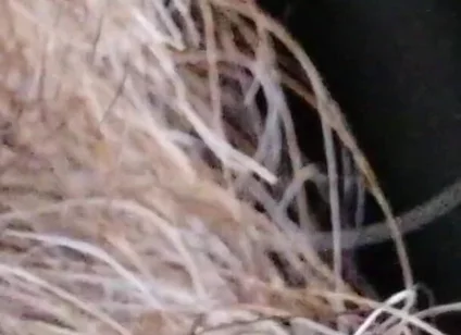 Kissing, Spitting on and Fucking My Stunt Mouth