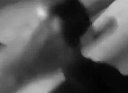 4288086234.mp4