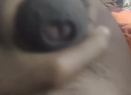 Aunty's Pussy Became Wet After Seeing My Penis.