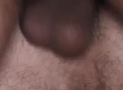 Breeding in Milan - with Bo Bailey and Will Hose