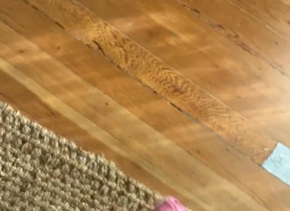 I got a little too excited